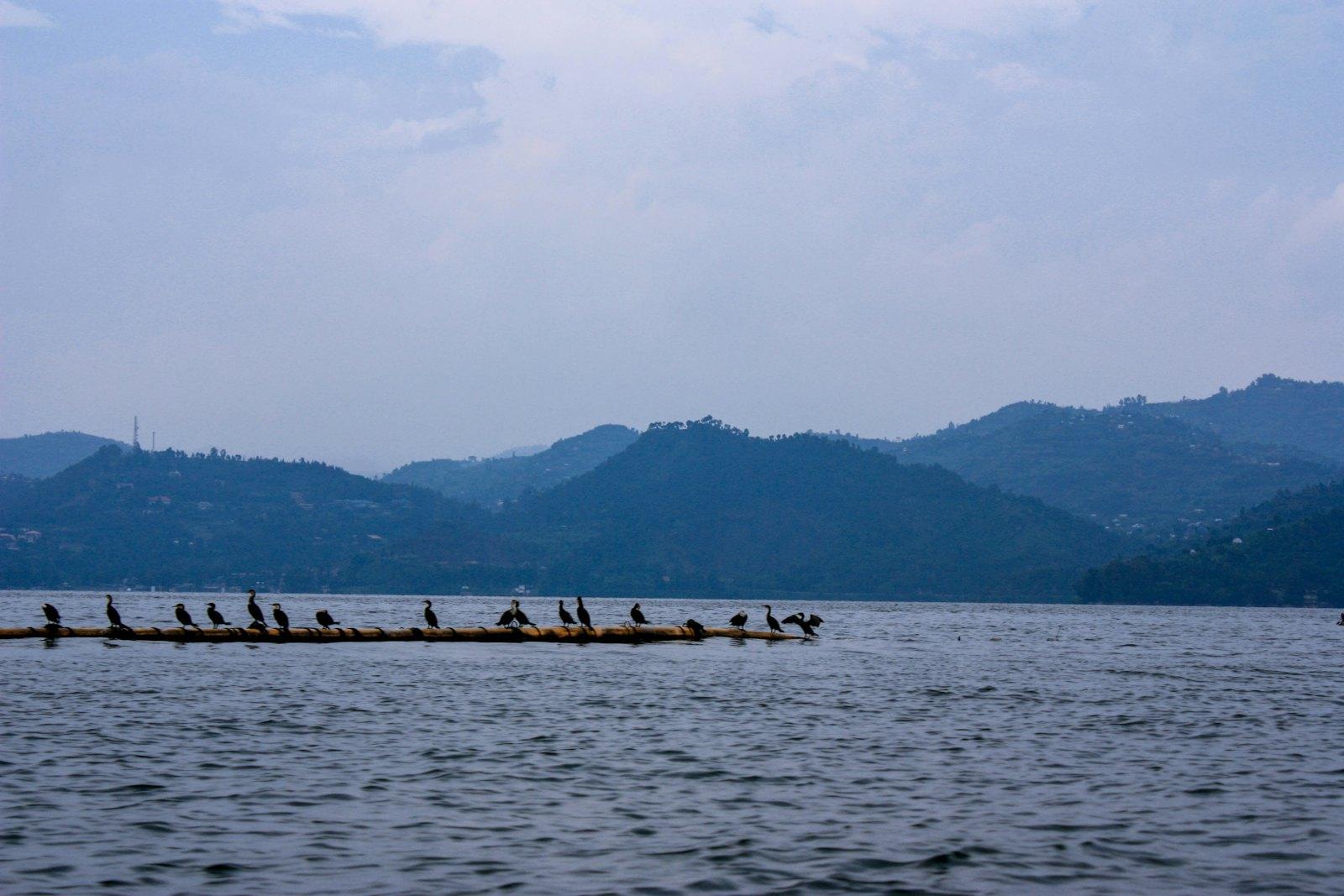 Wooden boats paddling out on Lake Kivu